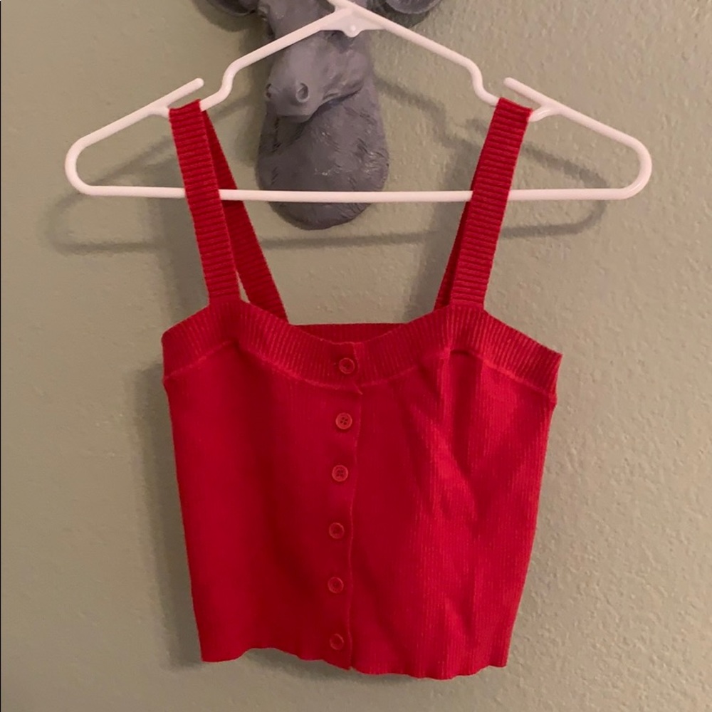 Brandy Melville red crop